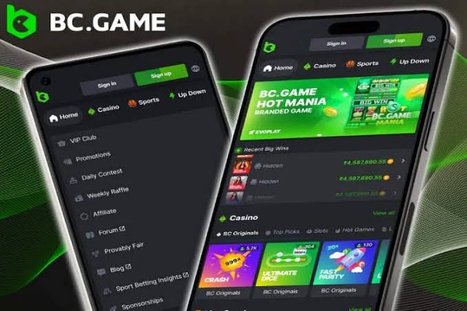 Explore the Diverse Payment Methods at BC.Game