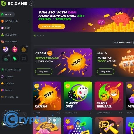 Exploring the Innovative Features of the BC.Game Platform